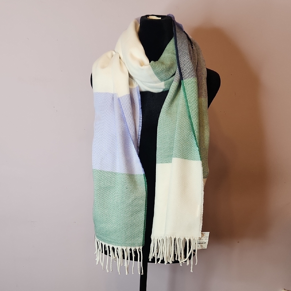 J. CREW Cozy Multicolor Scarf